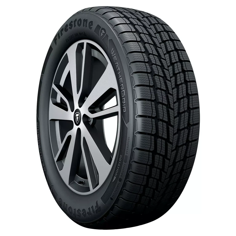 WeatherGrip - 195/65R15 91H Tire