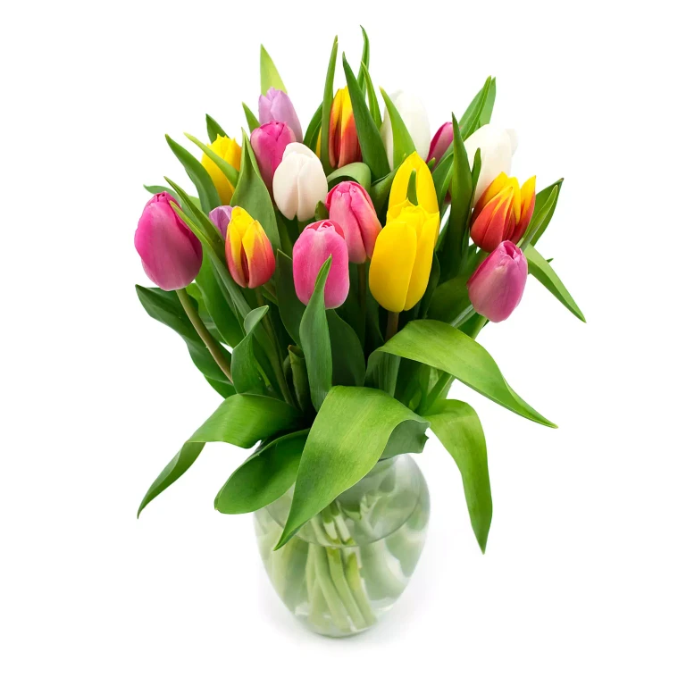 Tulip Bouquet + Vase, Rainbow Colors (20 stems)