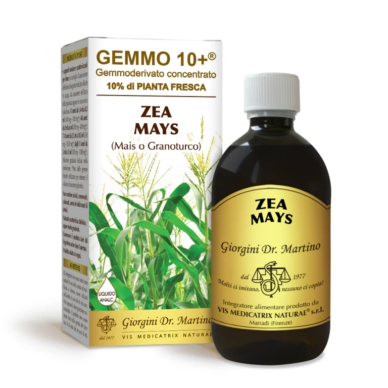 gemmo 10+ corn or maize 500 ml non-alcoholic liquid