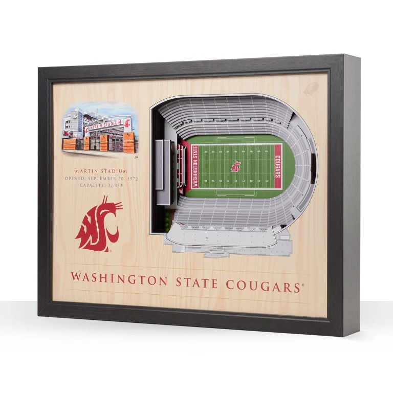Washington State Cougars 25-Layer Football Stadium View 3D Wall Art