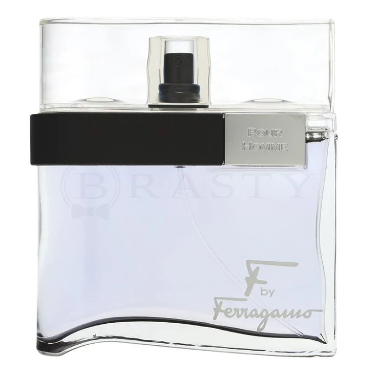 Salvatore Ferragamo F by Ferragamo for men Black EDT M 100 ml
