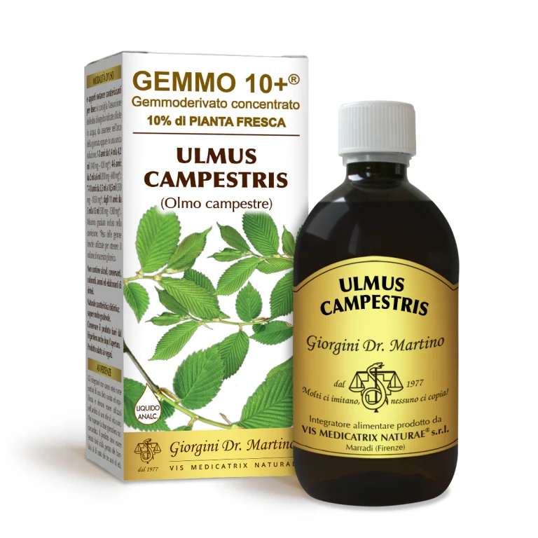 gemmo 10+ field elm 500 ml non-alcoholic liquid