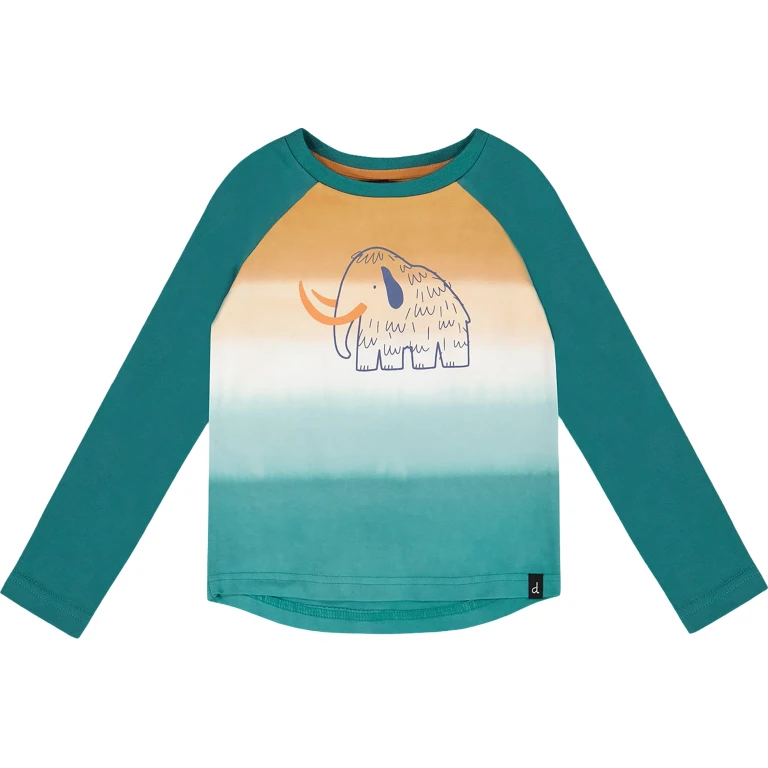 Organic Cotton Jersey Raglan Sleeve T-Shirt - Baby Boy