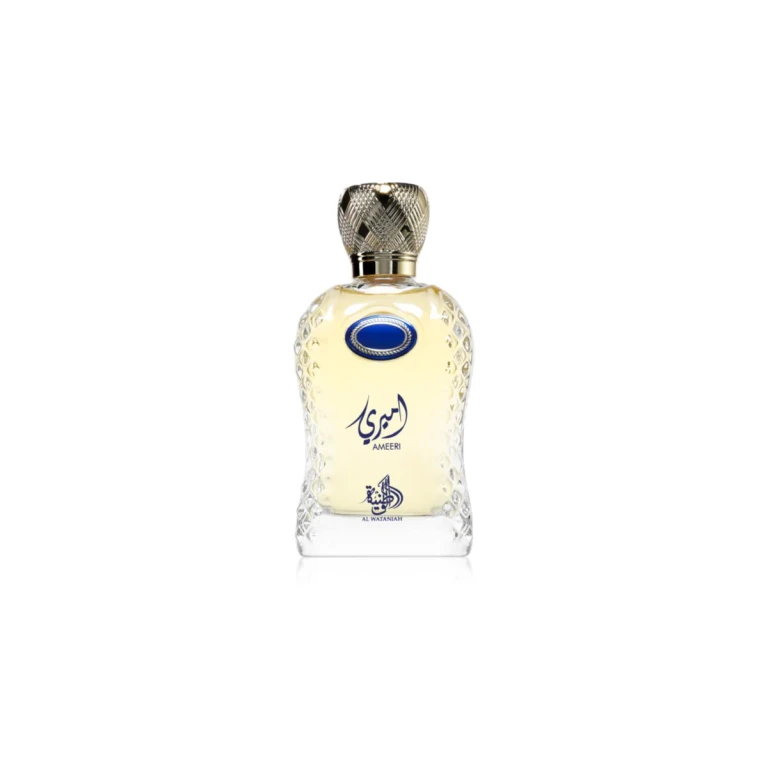 Ameeri Eau de Parfum for men 100 ml