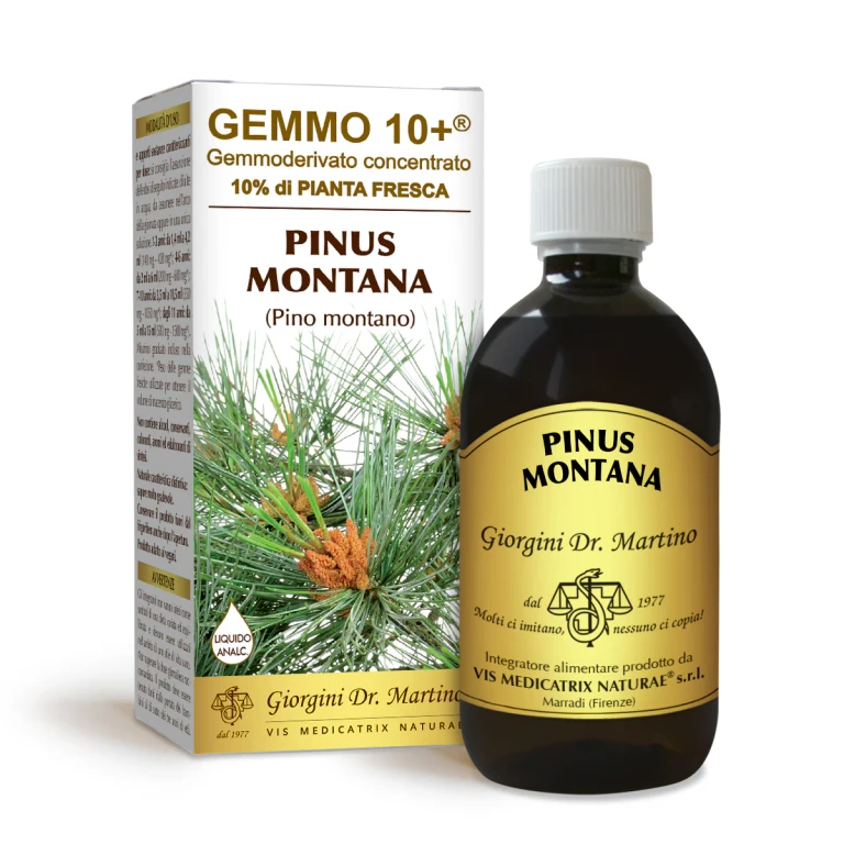 gemmo 10+ mountain pine 500 ml non-alcoholic liquid