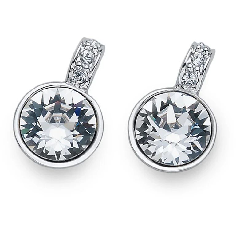 Glittering Earrings with Crystals Switch 22775
