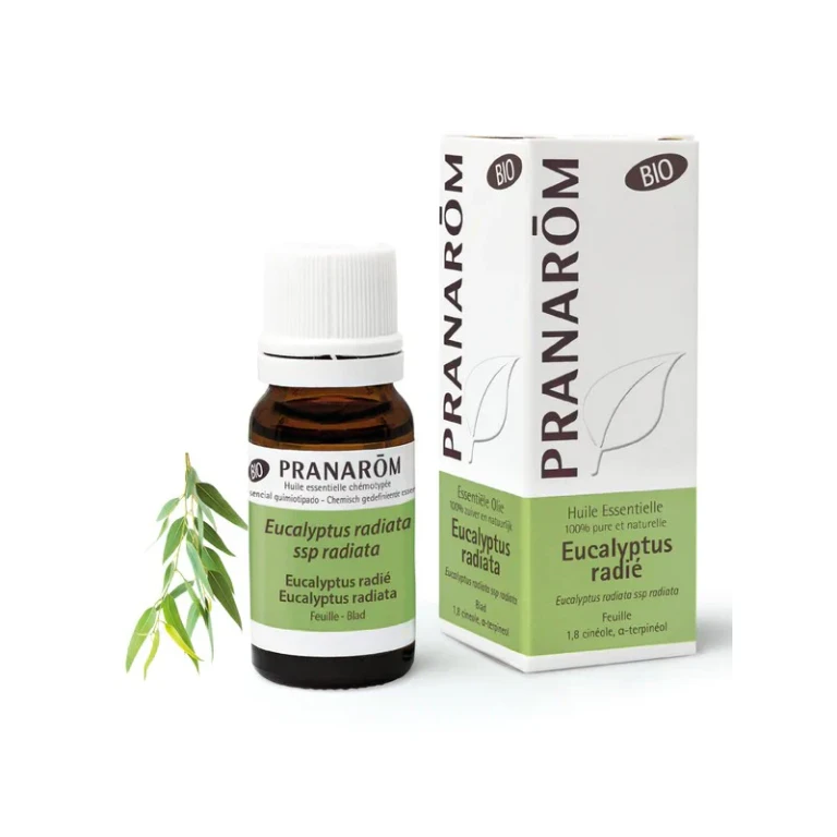 Essential Oils Eucalyptus Radiata Bio 10ml