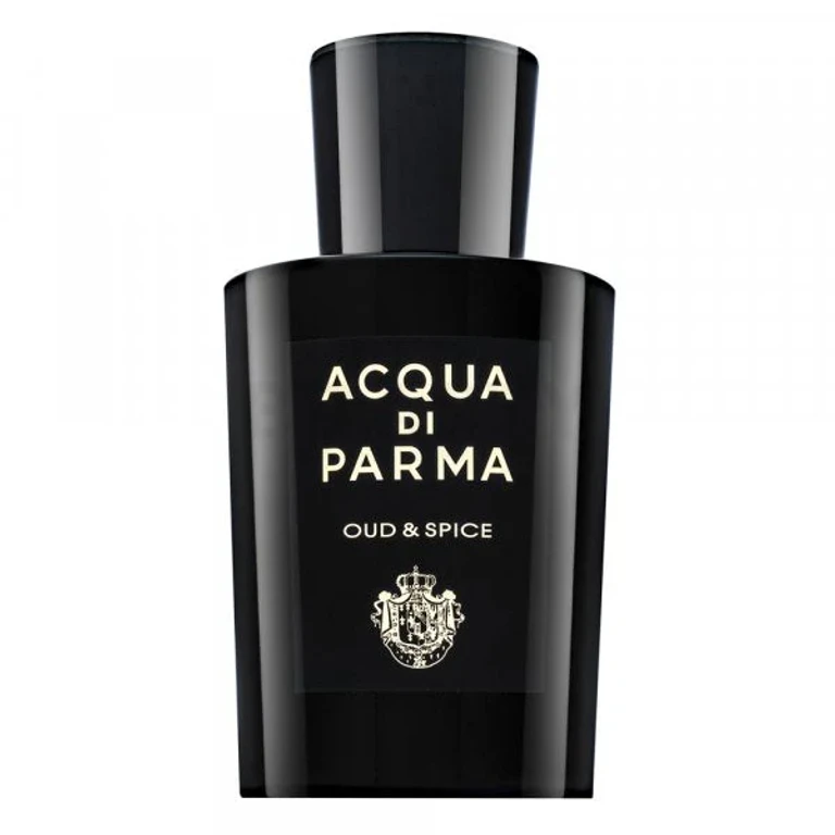 Oud & Spice EDP M 100 ml