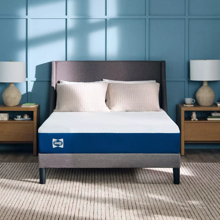 10' Memory Foam Mattress-in-a-Box:- Twin