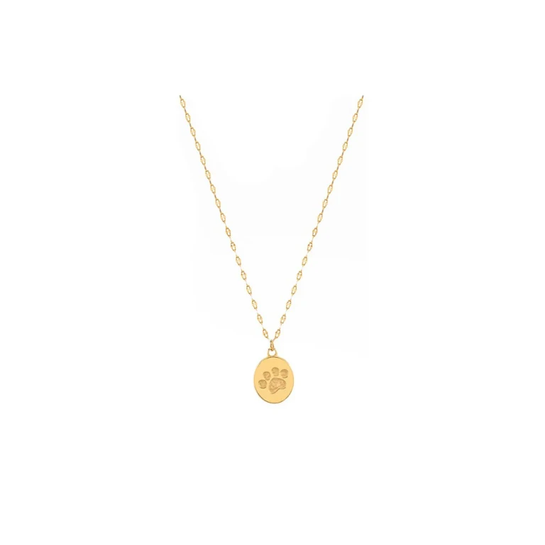Playful Gold-Plated Paw Necklace Vabqjn038G (Chain, Pendant)