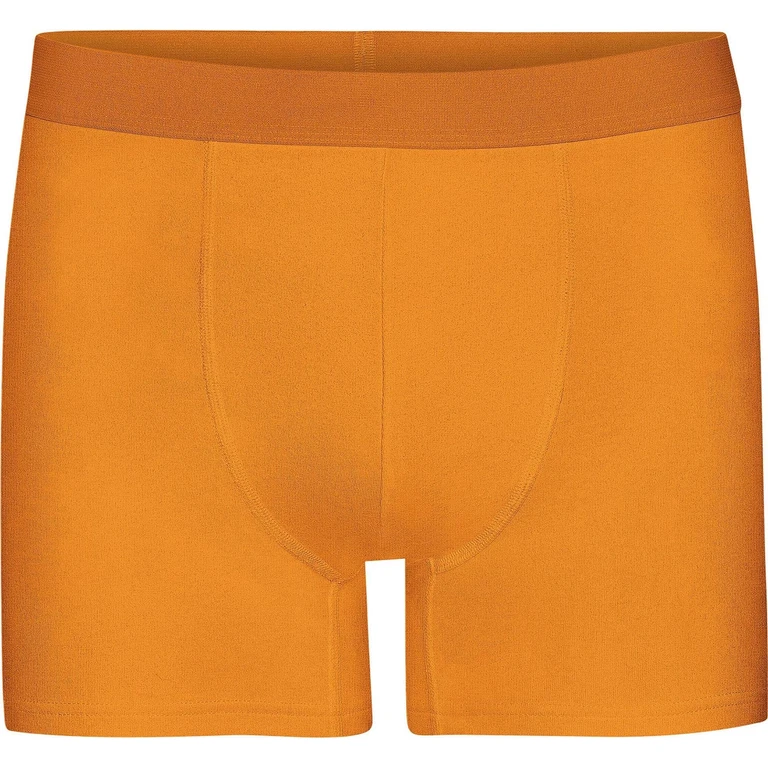 Classic Organic Boxer Briefs - Men's