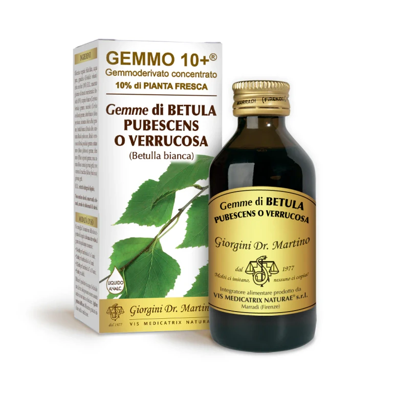 gemmo 10+ white birch buds 100 ml non-alcoholic liquid