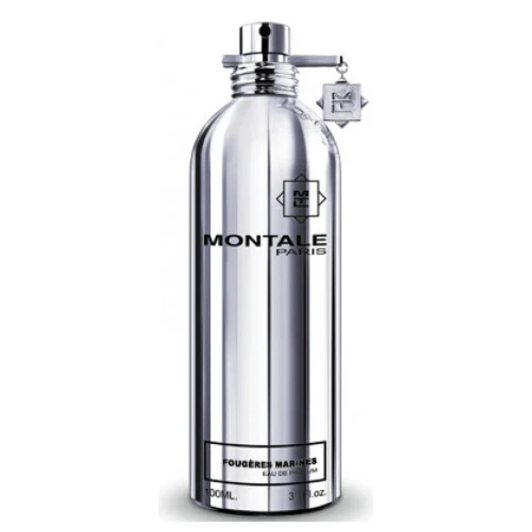 Fougeres Marines EDP