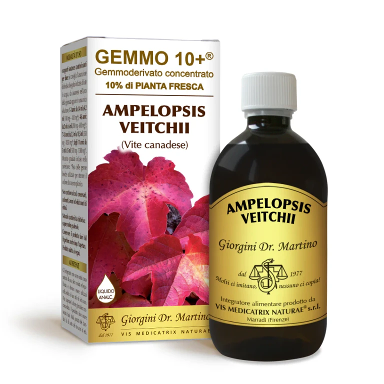 gemmo 10+ Canadian lives 500 ml non-alcoholic liquid