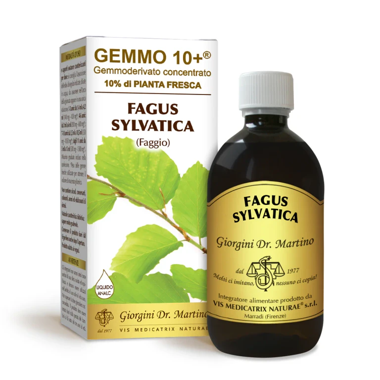 gemmo 10+ beech 500 ml non-alcoholic liquid
