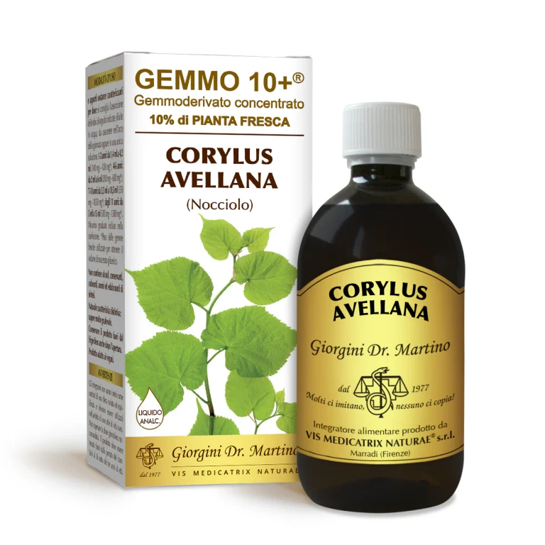 gemmo 10+ hazelnut 500 ml non-alcoholic liquid