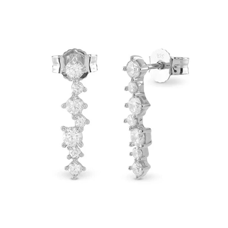 Silver Drop Earrings with Cubic Zirconia Jardin Jsbe04494Jwrht/U