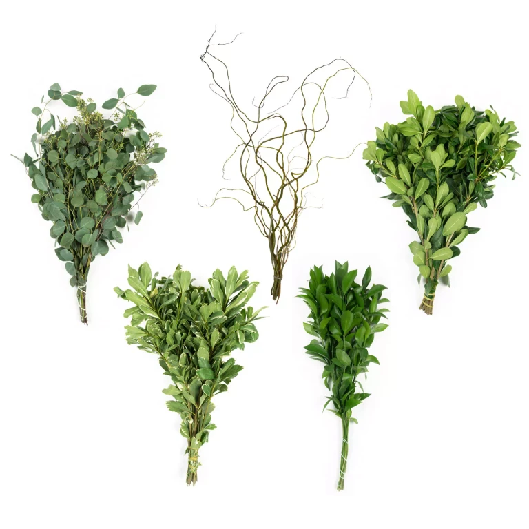 CA FILLER SAMPLER 10 BUNCHES