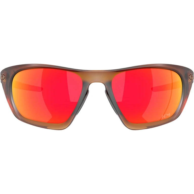 Lateralis Sunglasses