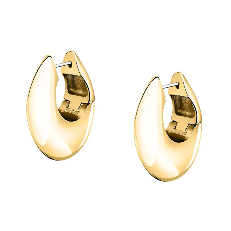 Gold-Plated Hoop Earrings Saup32