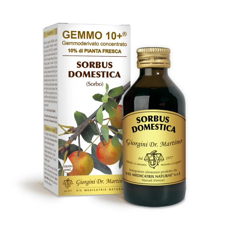 gemmo 10+ sorbo 100 ml non-alcoholic liquid