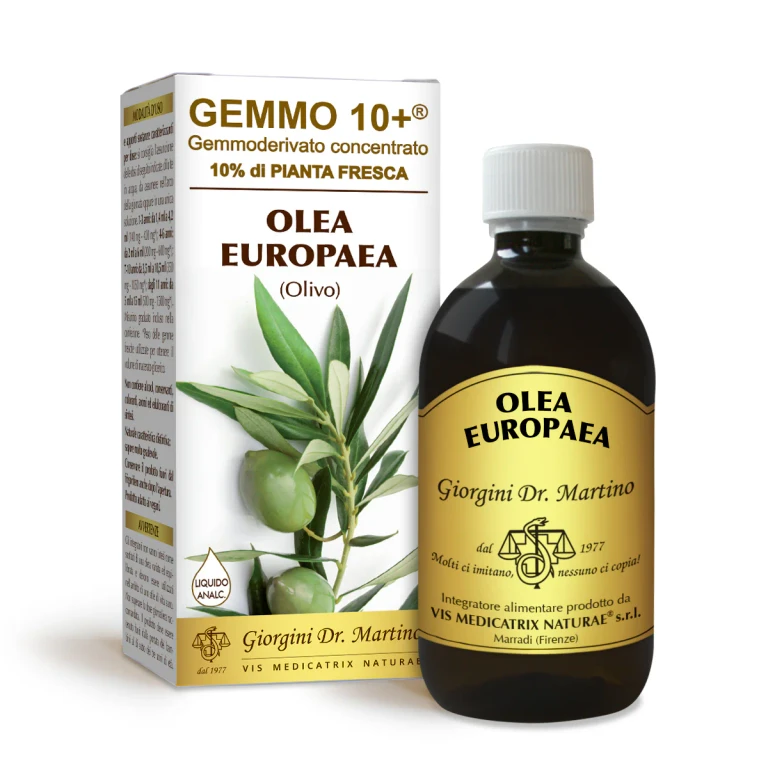 gemmo 10+ olive tree 500 ml non-alcoholic liquid