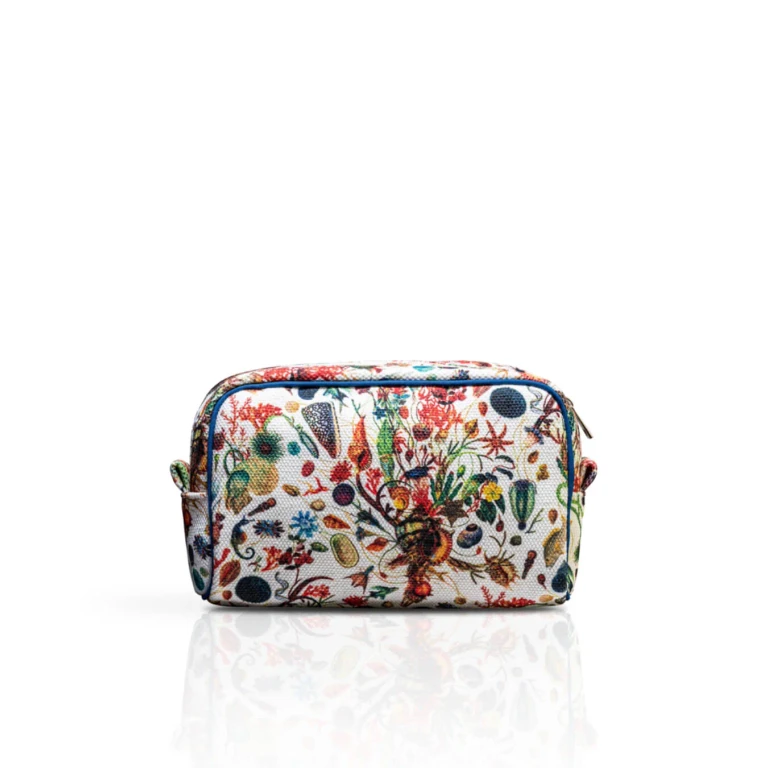 A’mare Beauty Small colorful patterned case