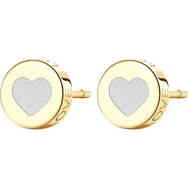 Coordinated Steel Earrings with Heart Click Sck53