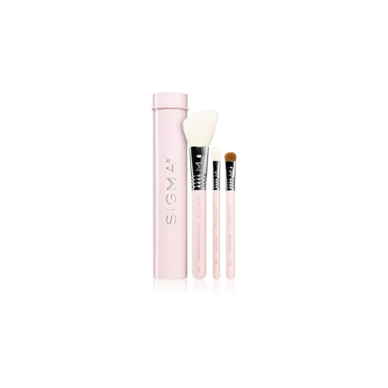 Essential brush set with case