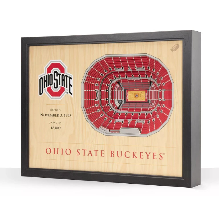 Ohio State Buckeyes 25-Layer Basketball Stadium View 3D Wall Art