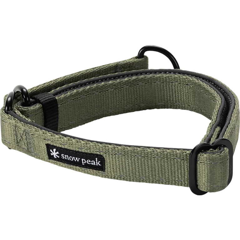 SP Slip Dog Collar - Medium