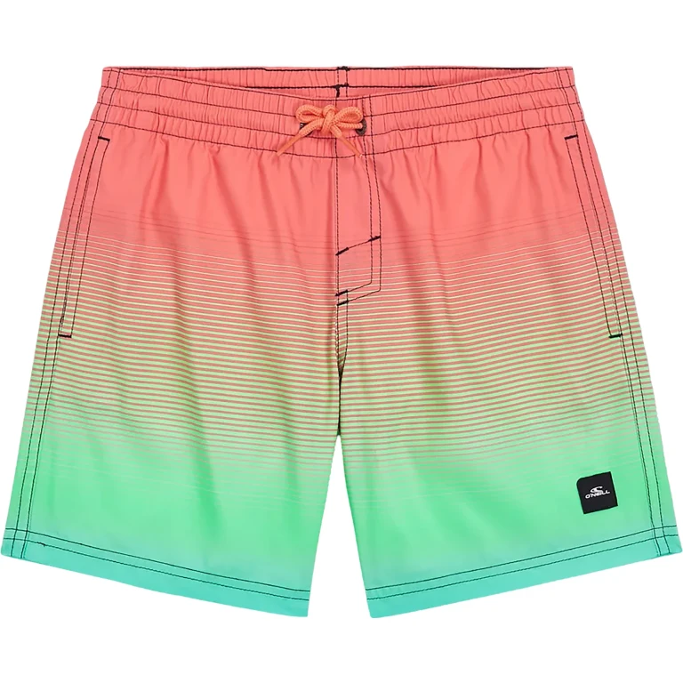 Cali Gradient Volley Swim Shorts 14" - Boys