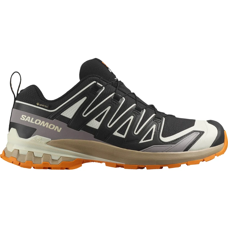 XA Pro 3D V9 GORE-TEX Trail Running Shoes - Men's