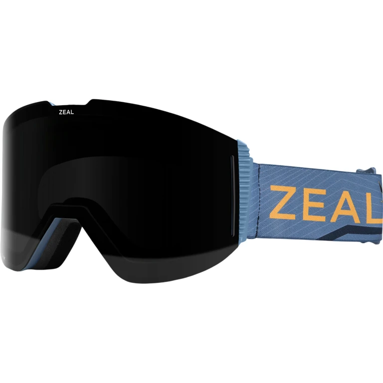 Lookout Ski Goggles