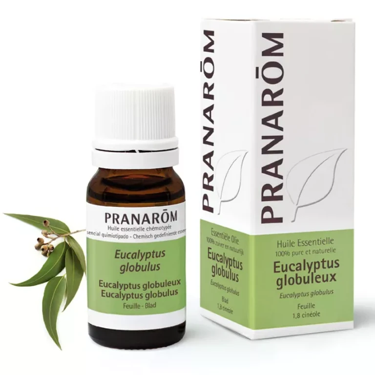 Essential Oils Eucalyptus globosus essential oil 10ml