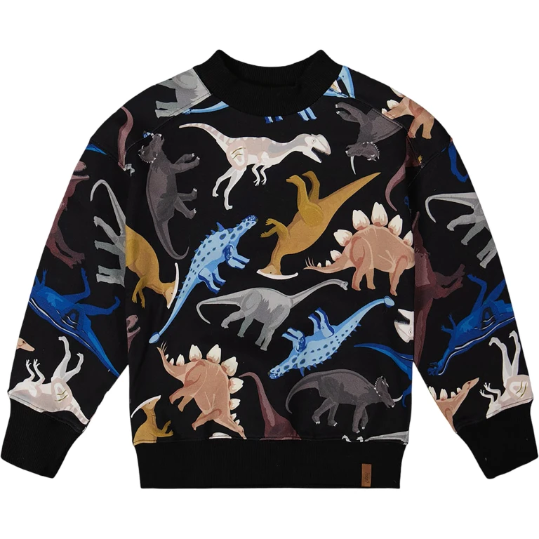 Dinosaur Pullover Fleece Sweatshirt - Big Boy