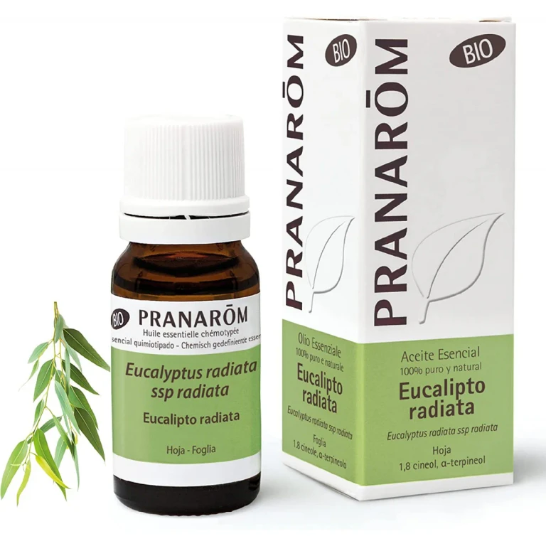 Essential Oils Eucalyptus Radiata Essential Oil 10ml