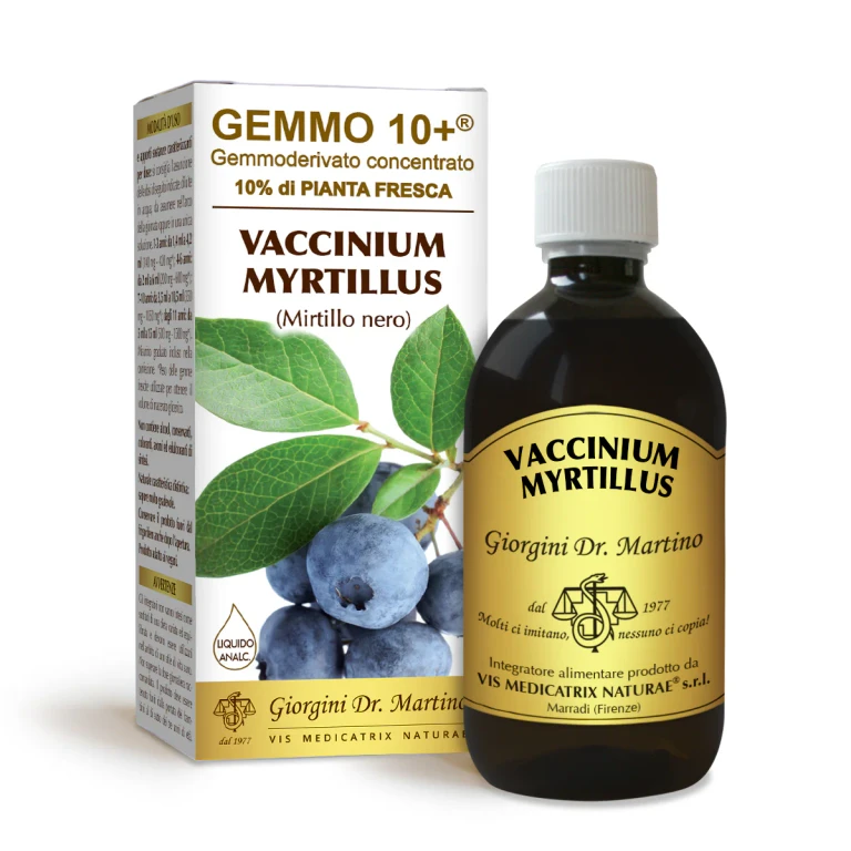 gemmo 10+ blueberry 500 ml non-alcoholic liquid