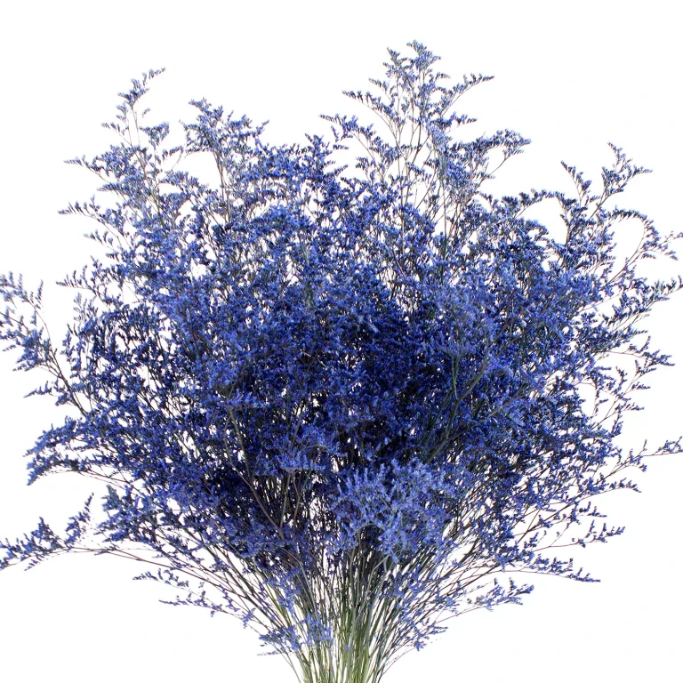 Limonium, 15 bunches (Tinted Blue):- Tinted Blue