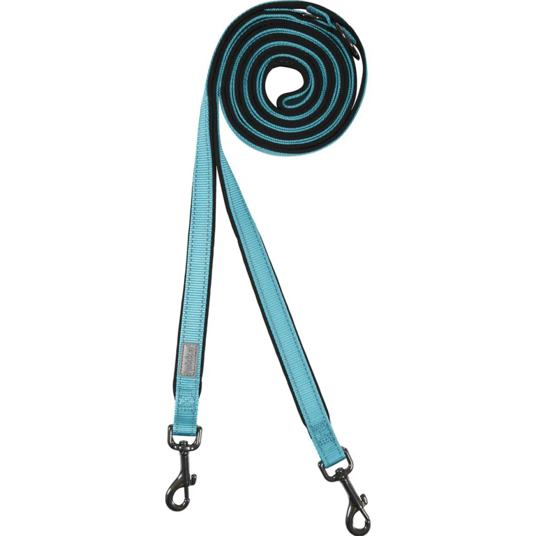 Solid Mediumulti Dog - Leash - Medium