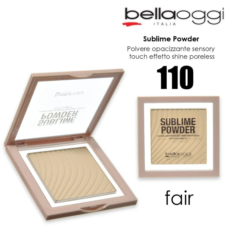 Sublime Powder Shine Control Compact Powder Fair 110