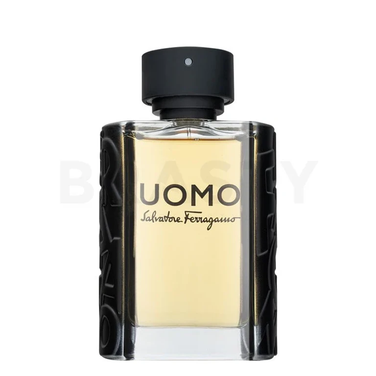Salvatore Ferragamo Men EDT M 100 ml