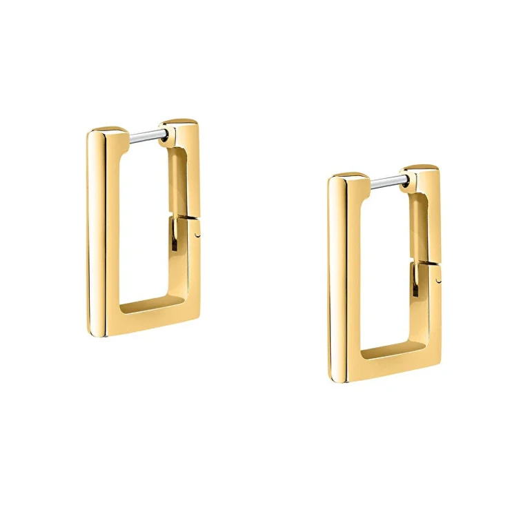 Quality Gold-Plated Hoop Earrings Saup13