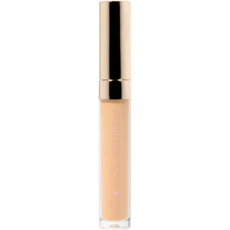 Fruit Pigmented Long-lasting Concealer with Super Fruit Cream (fair) (3 g)