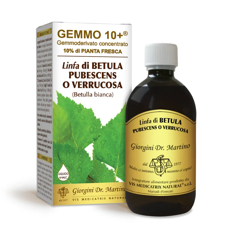 gemmo 10+ white birch sap 500 ml non-alcoholic liquid