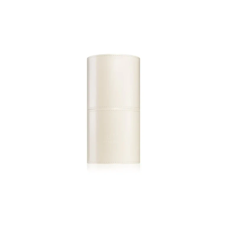 Magnetic brush case