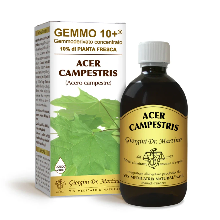gemmo 10+ field maple 500 ml non-alcoholic liquid