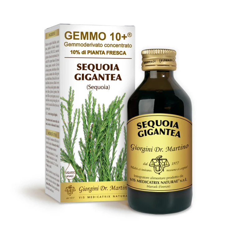 gemmo 10+ sequoia 100 ml non-alcoholic liquid