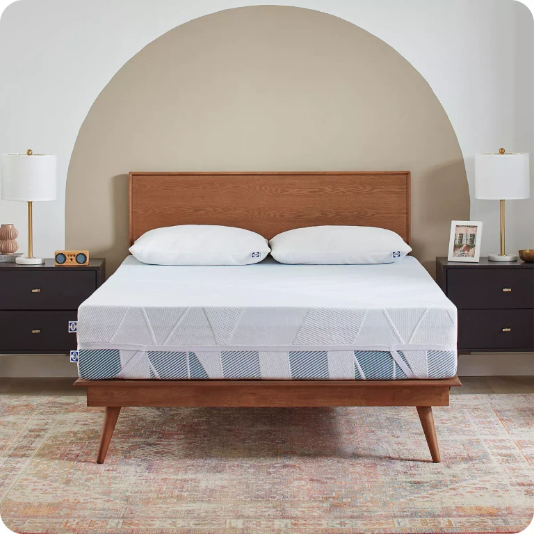 Dreamlife 3' Gel Memory Foam Mattress Topper and Cover (Twin XL):- Twin XL