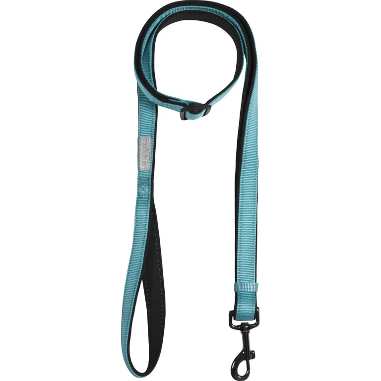 Solid Dog Leash - Medium